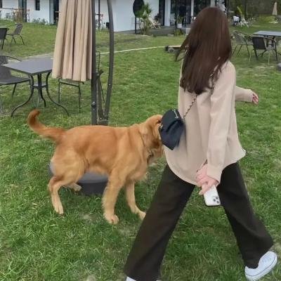 好医生