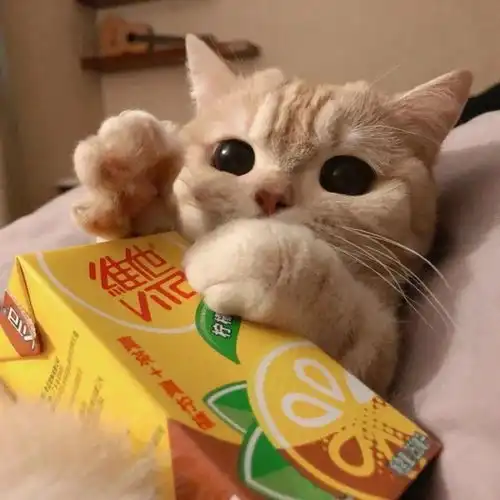 一起来看来换闺蜜头像