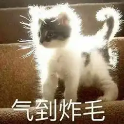e句话看天下丨恭喜王浩信和唐诗咏拿到tvb视帝视后心疼马国明