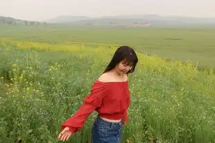 北京周边丰宁坝上草原情侣闺蜜四人游