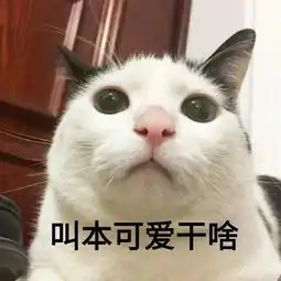 南深一顾