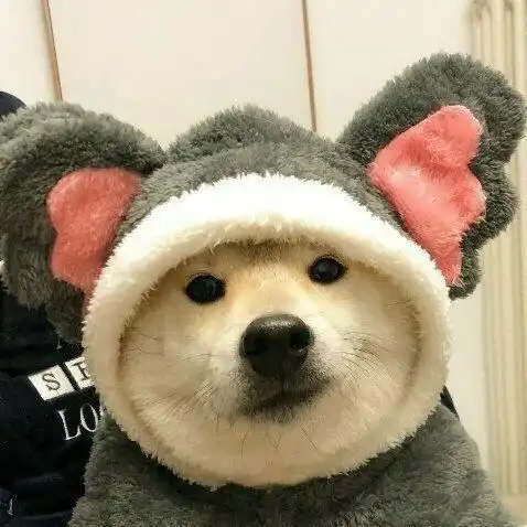 2022.2.6头像