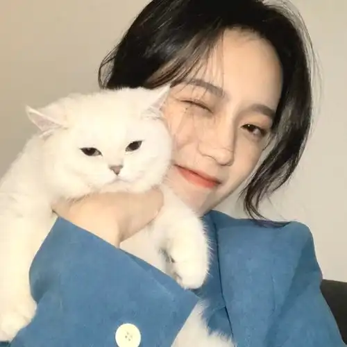 女生头像我喜欢你第一句是假的第二句也是假的