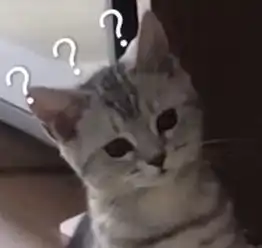 全新猫咪斗图表情包来啦