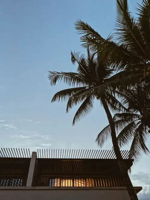 新技能学习原来海南最好玩的地方不是三亚一场有情怀的万宁冲浪之旅