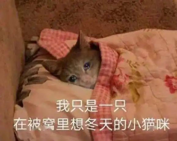 人生就像一片涮羊肉