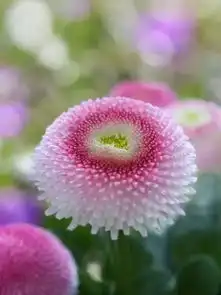 今天5月10,一首好听的歌,送给我牵挂的人