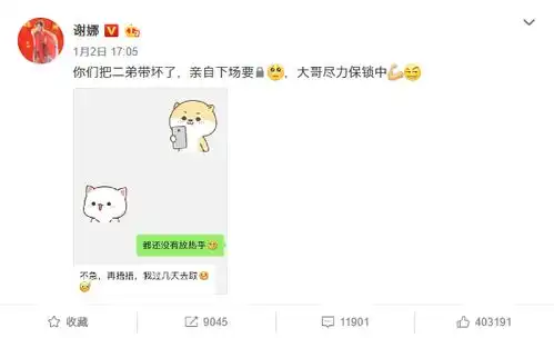 谢娜晒与赵丽颖聊天记录二弟管大哥要锁了