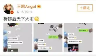 王鸥微博晒工作室聊天记录,表情包比烤肉更加吸引关注