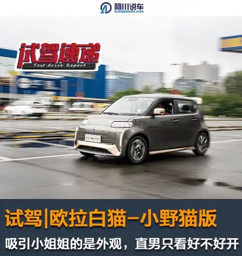 合法改装欧拉白猫,吸引小姐姐的是外观,直男只关心好不好开
