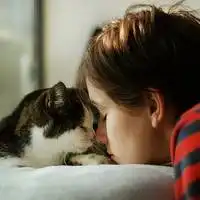 喜欢猫咪的男生个性头像