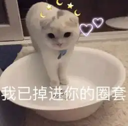 谢拉露妮丝表情包小雷