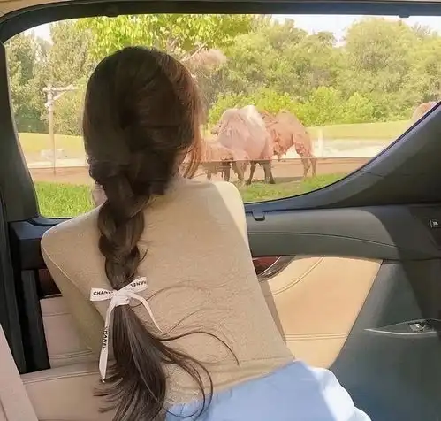 女人的情绪,家里的风水