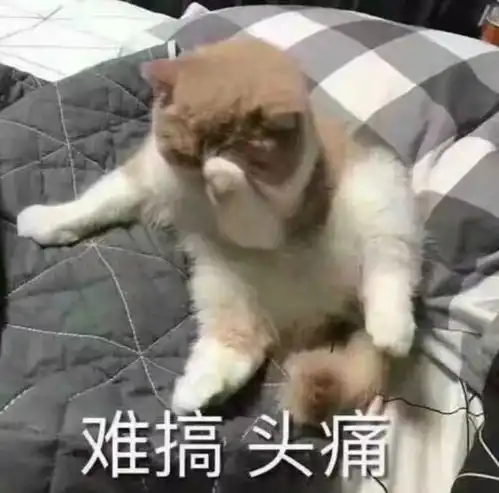 一文读懂国内普通本科如何转学去海外名校