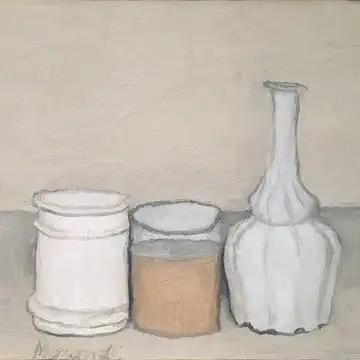 蝌蚪的相册