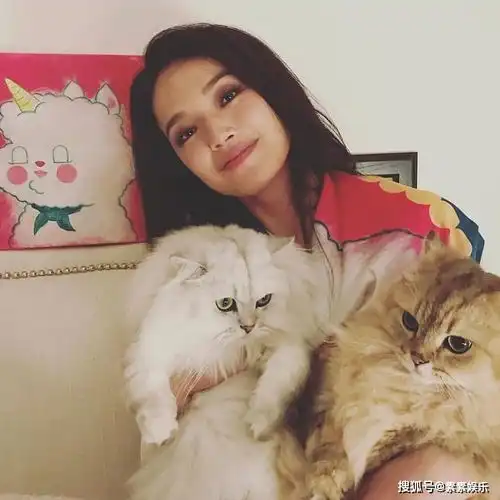 林心如和舒淇成为养猫达人,抱猫咪出镜笑个不停,场面很温馨