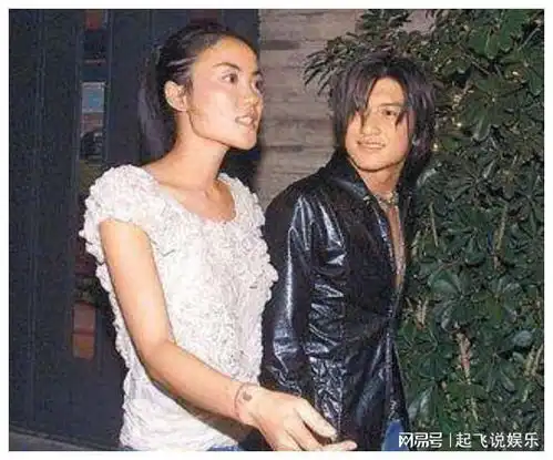 谢霆锋到北京就赶往王菲家两人相处像热恋,计划不结婚不生娃