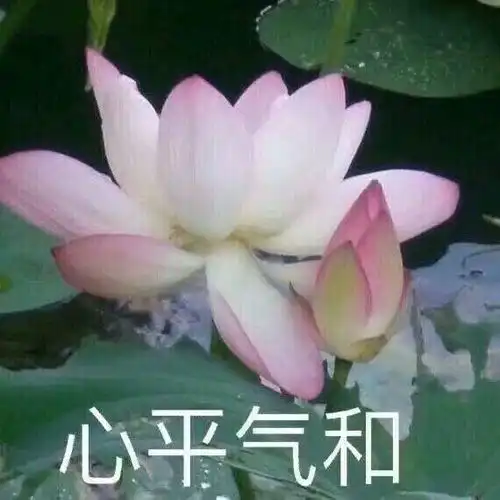 又没有三个人用的沙雕闺蜜头像