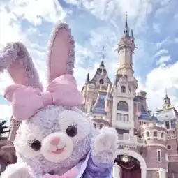 来看看花朵正在悄悄说些什么吧