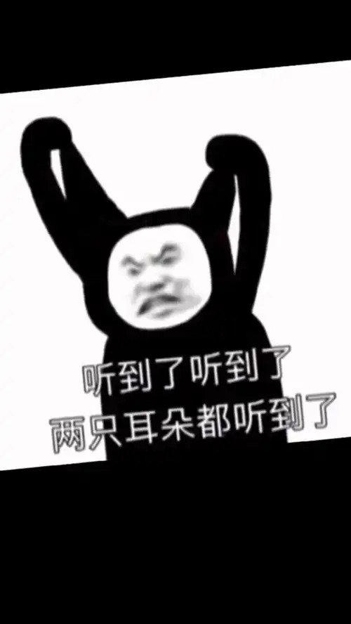 听到了吗聊天记录内容过于真实表情包