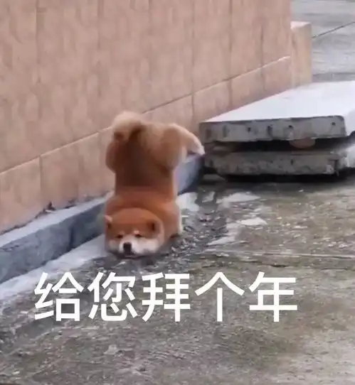 快收藏让人忍不住刷屏的最全春节表情包组合