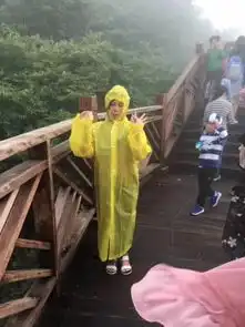 这么贵的姜糖还成了爆款,凭什么