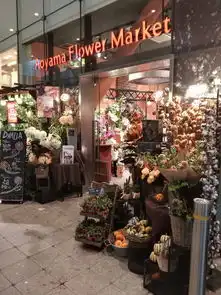 迟到了2年半的大阪,京都,奈良闺蜜亲子购物游含详细交通购物攻略