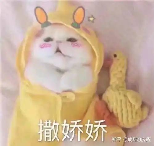 笑到逐渐失控论取名我就服成都人,细数这些奇葩楼盘名