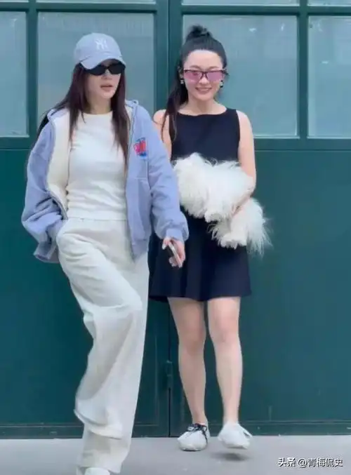 贾乃亮李小璐带娃出游两人全程没互动,霍思燕发际线抢镜