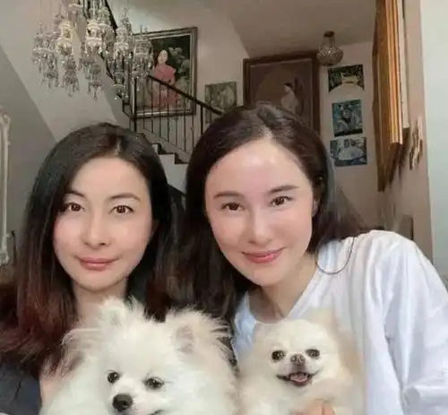 郭晶晶豪宅与闺蜜聚会穿深v服美到差点认不出,有当家主母风范