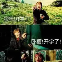 有哪些哈利波特厨看了会心一笑的图片呢