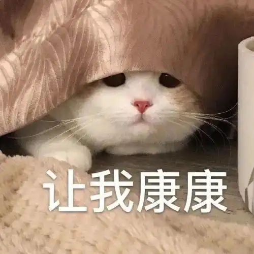 阵风多地雨雪渭南大降温还有你关心的放假通知...