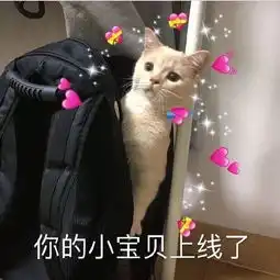 可爱小猫表情包
