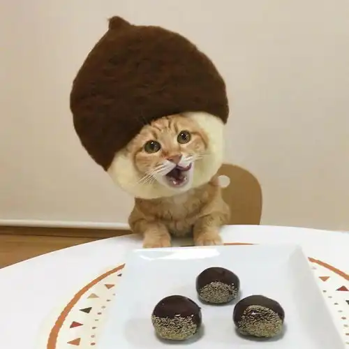 ,,,,有没有超可爱的动物头像图片