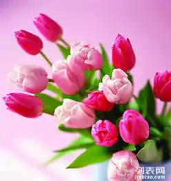 三亚鲜花配送开业花篮盆景租赁婚庆布置等