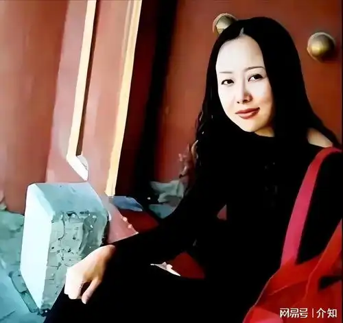 身价过亿坐拥北京一条街私人飞机,这几位京圈富婆真富有