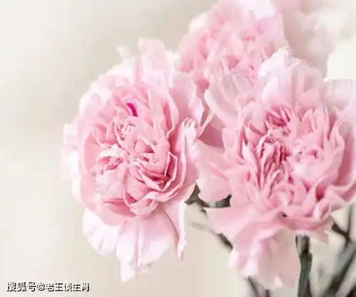 4月底财运连涨的4大生肖,财神赐福,横财发不停,挡都挡不住事业