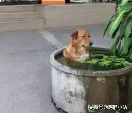 搞笑段子你连发剪吹风都没,怎么做生意老板娘凭感觉