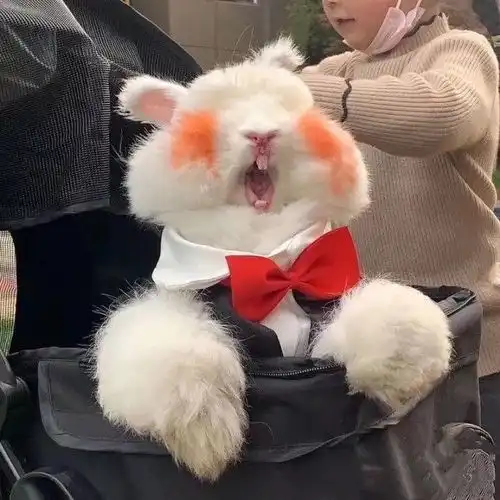超级可爱的小动物头像