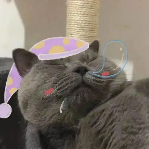 微信情侣头像一见钟情