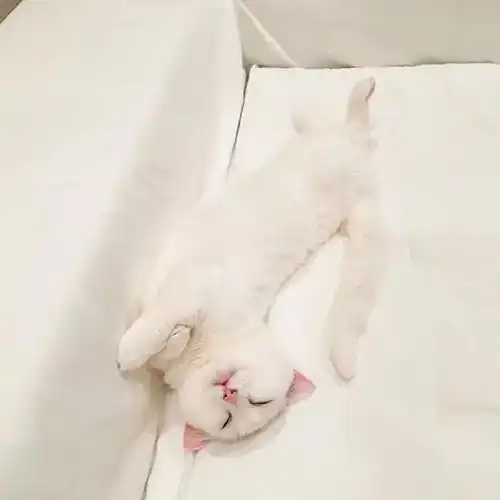 闺蜜头像