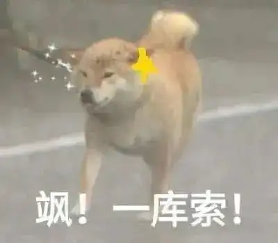 表情包太米了