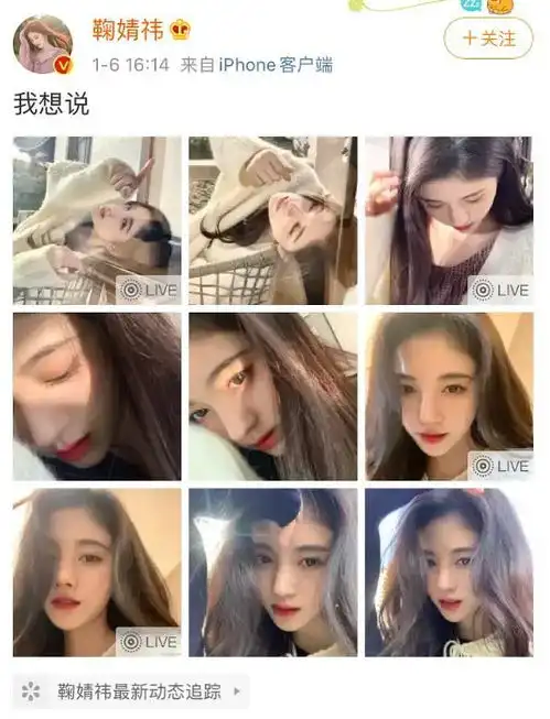 熊鞠又是啥鞠婧祎炒美女人设后又卖腐,拉美女闺蜜组cp上热搜