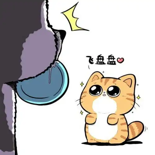 橘猫到底是种什么生物