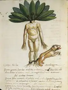 哈利波特的神奇生物与魔法指南