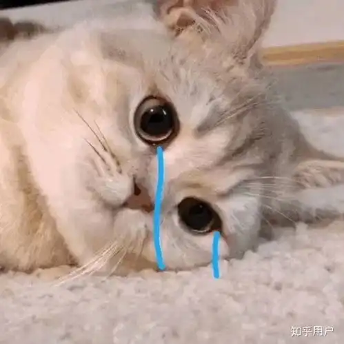 和男朋友第一次接吻什么感受