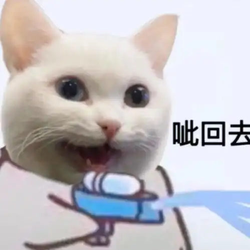 头像不是不爱而是太累