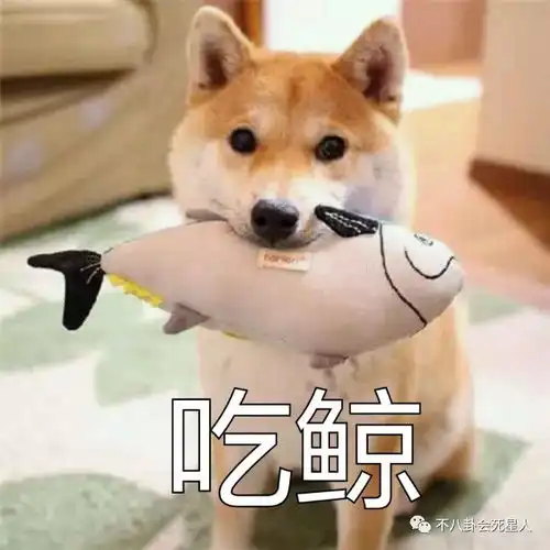 勾搭陈法拉富豪前夫,被闺蜜撬走富二代男友,欲嫁豪门的她终于圆梦