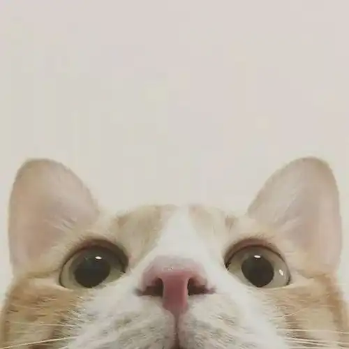 奇奇怪怪有趣头像