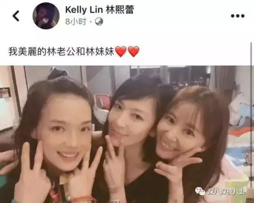 上戏考官陈好舒淇闺蜜林熙蕾息影当妈婚后各自精彩的万人迷们